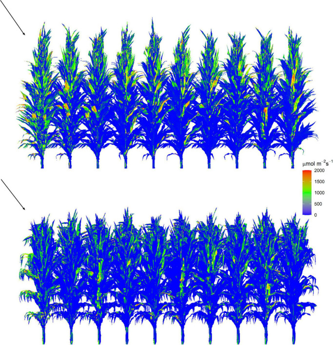 FIGURE 3