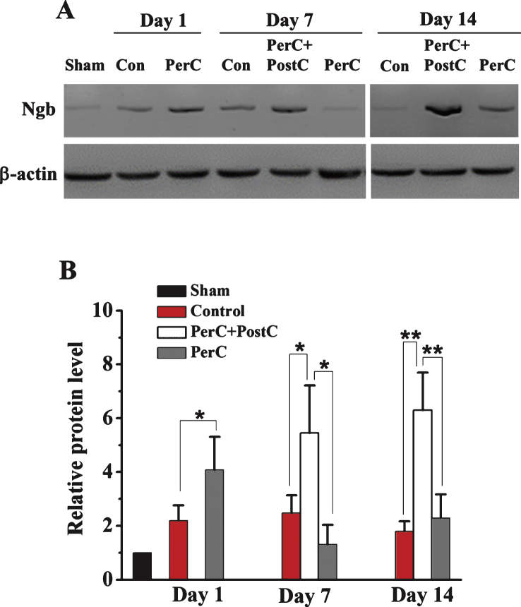 Fig.4