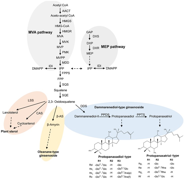 FIGURE 1