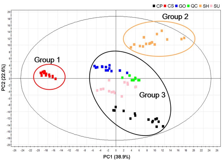 FIGURE 3