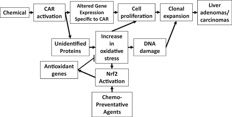 Figure 9.