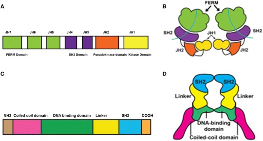 Fig. 1