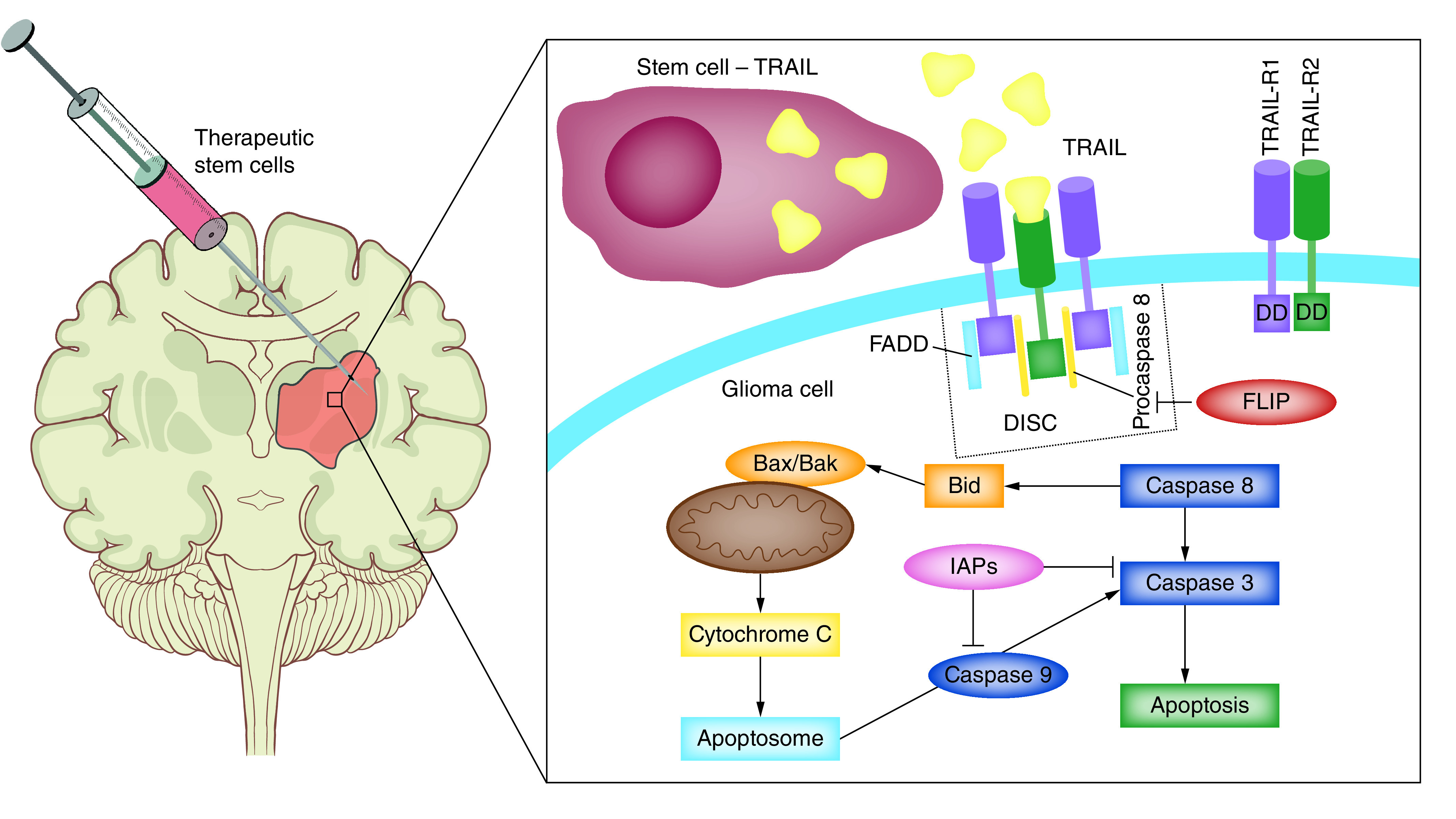 Figure 2. 