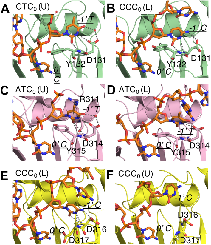 Figure 5