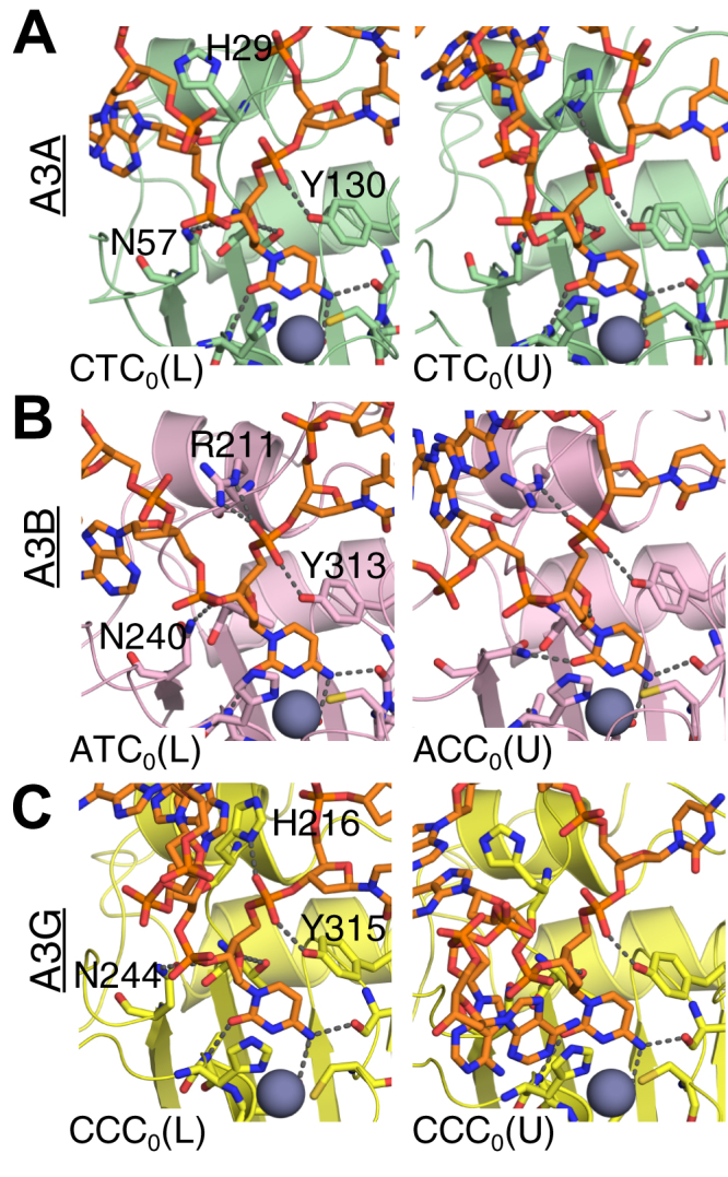 Figure 3