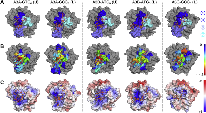 Figure 4