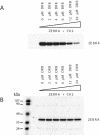 FIG. 5.