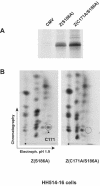 FIG. 3.