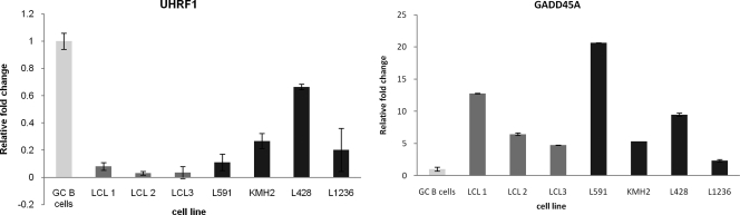 Fig. 8.