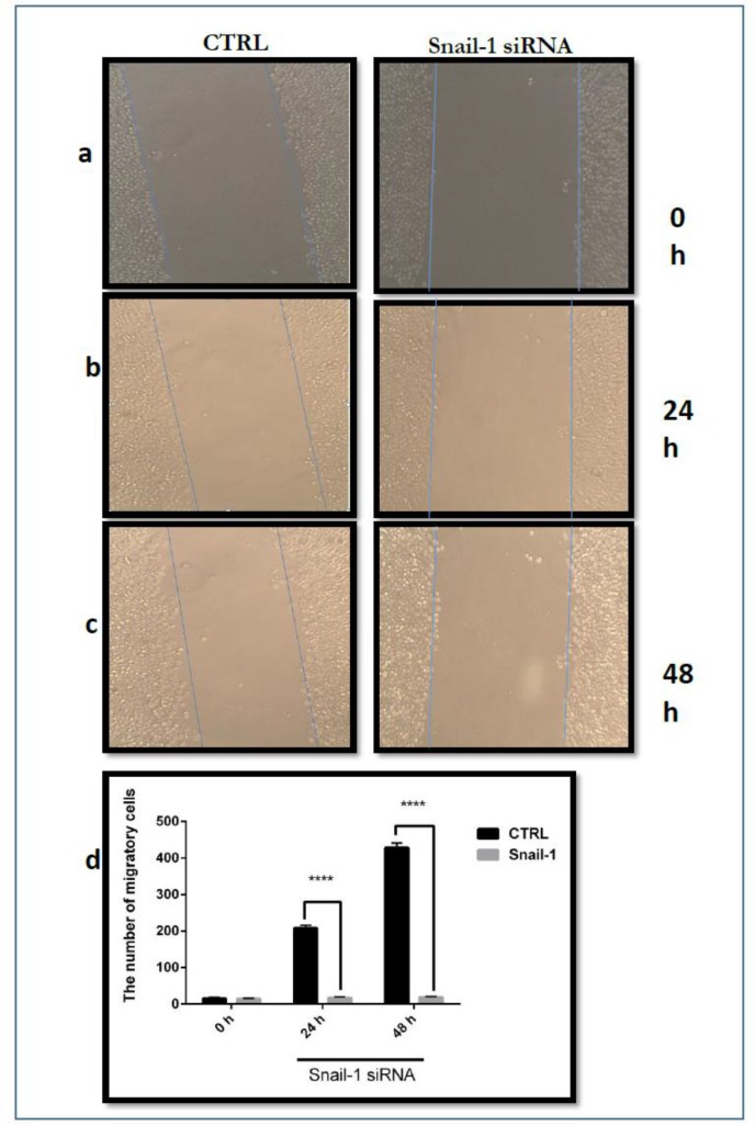 Fig. 6: