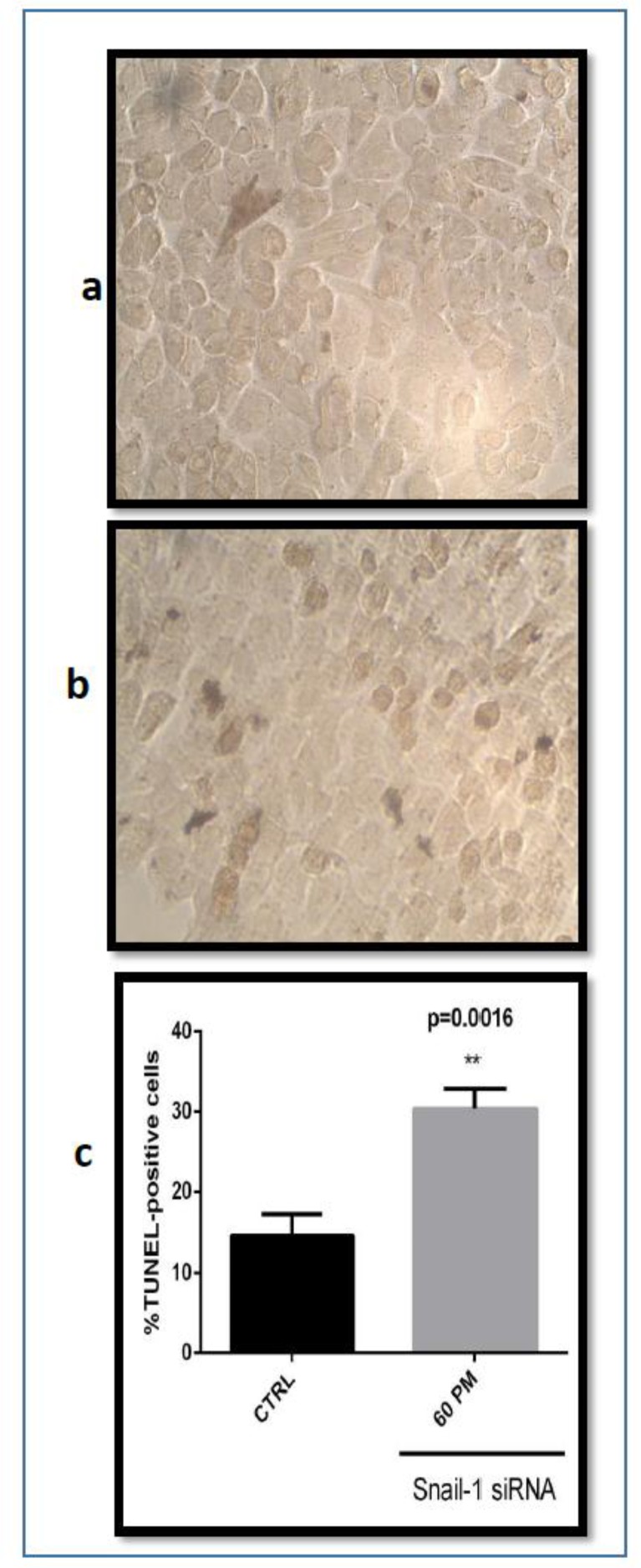 Fig. 5: