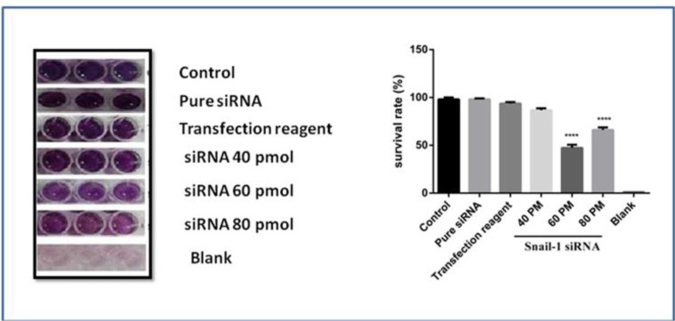 Fig. 4: