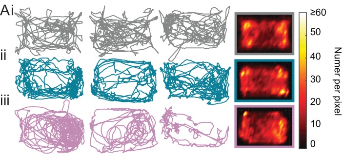 Figure 2—figure supplement 2.