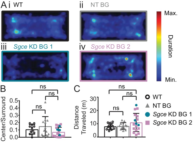 Figure 2—figure supplement 1.