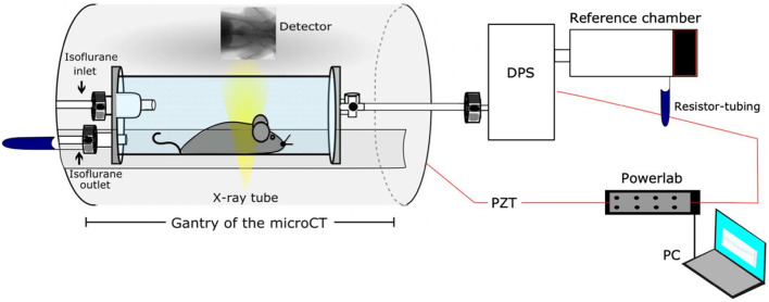 FIGURE 6