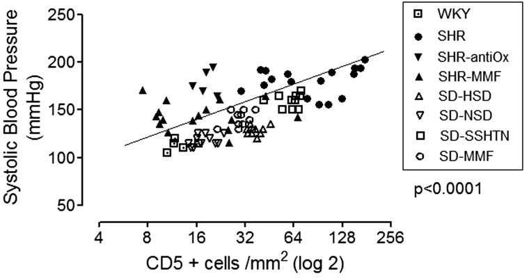 Fig. 1.