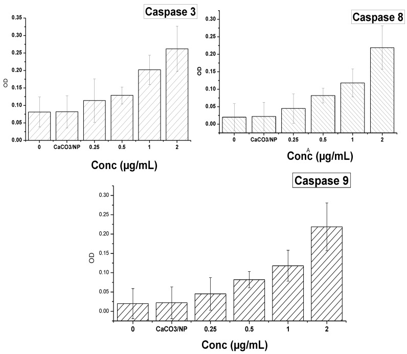 Figure 11