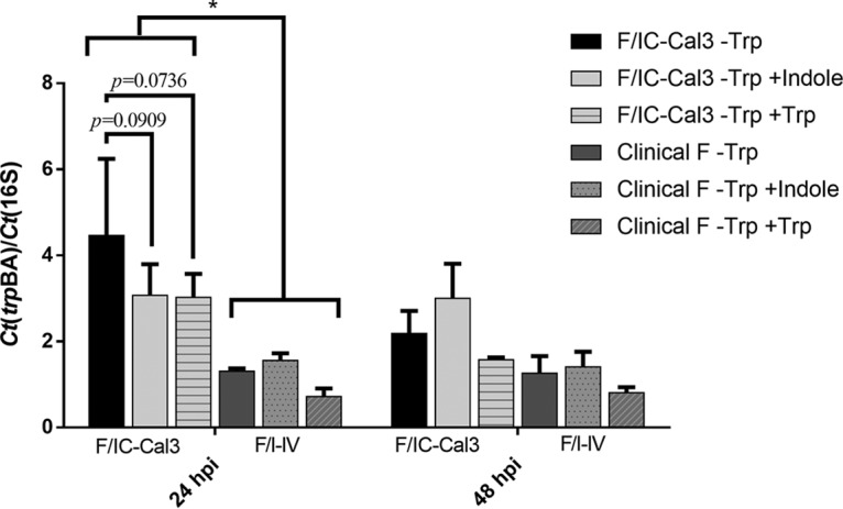 FIG 7