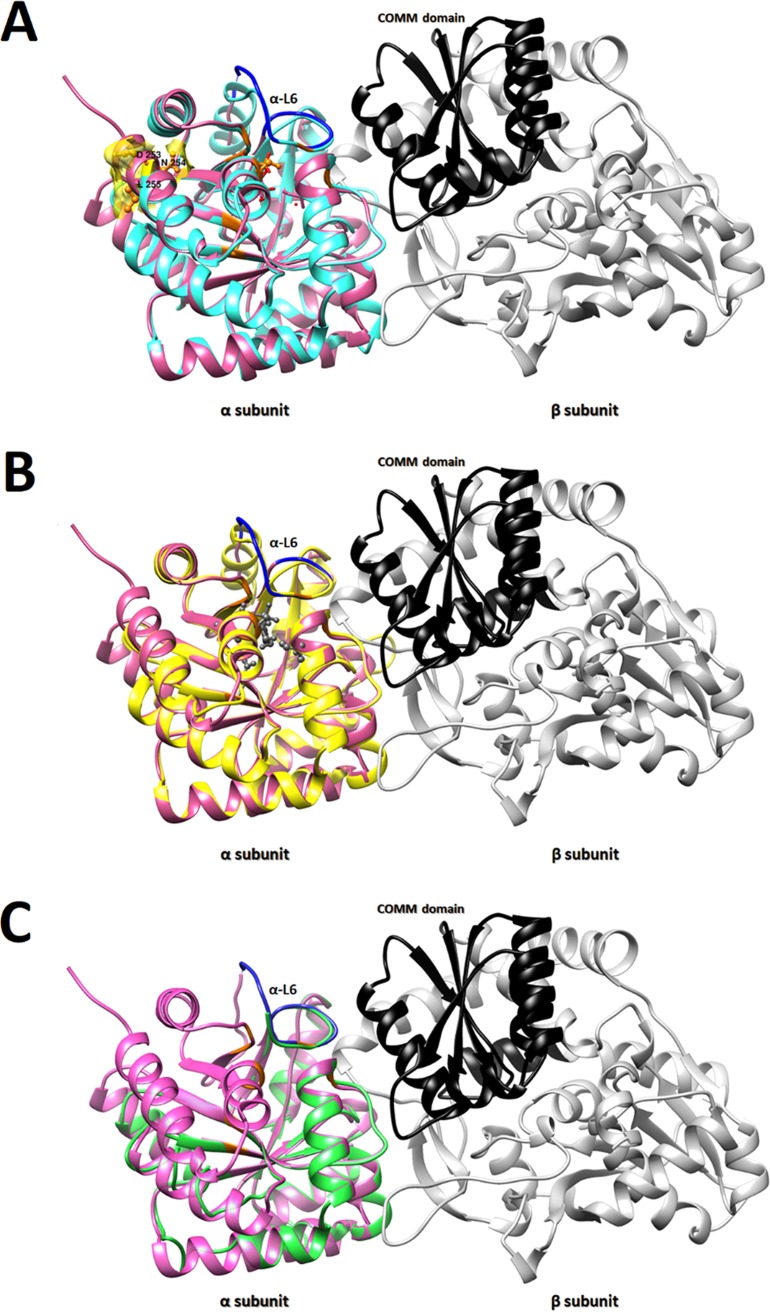 FIG 4