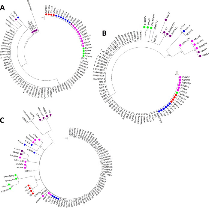 FIG 2