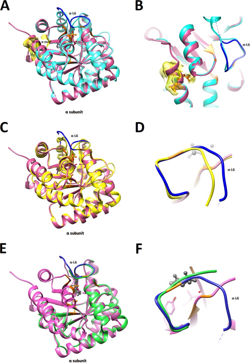 FIG 3