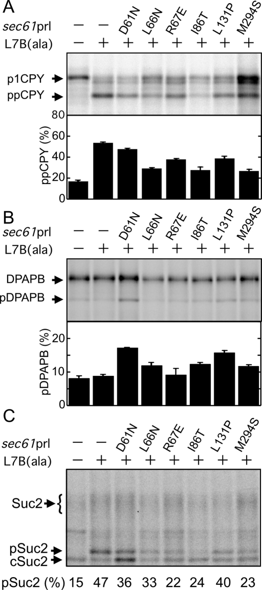 FIGURE 4: