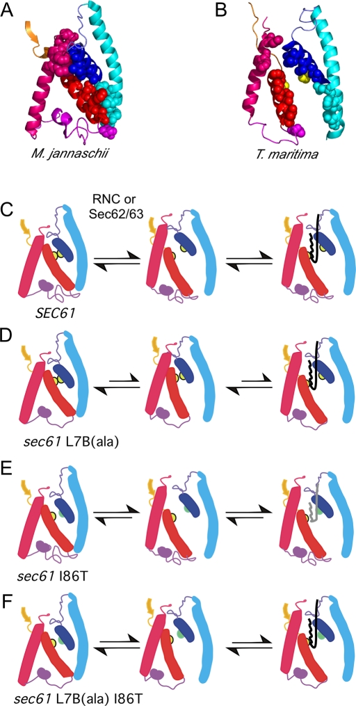 FIGURE 6: