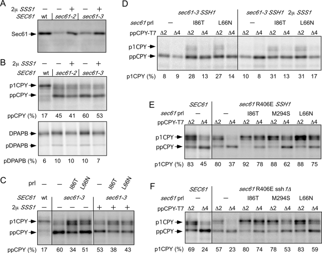 FIGURE 3: