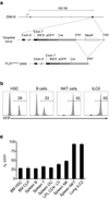 Extended Data Figure 1