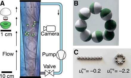 Fig. 1