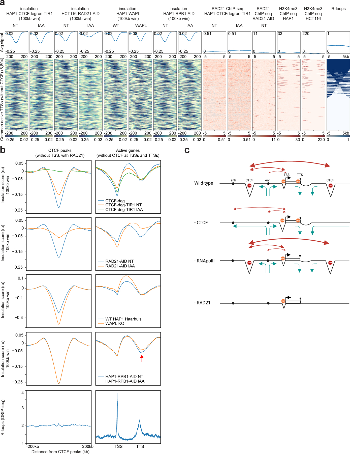 Figure 2: