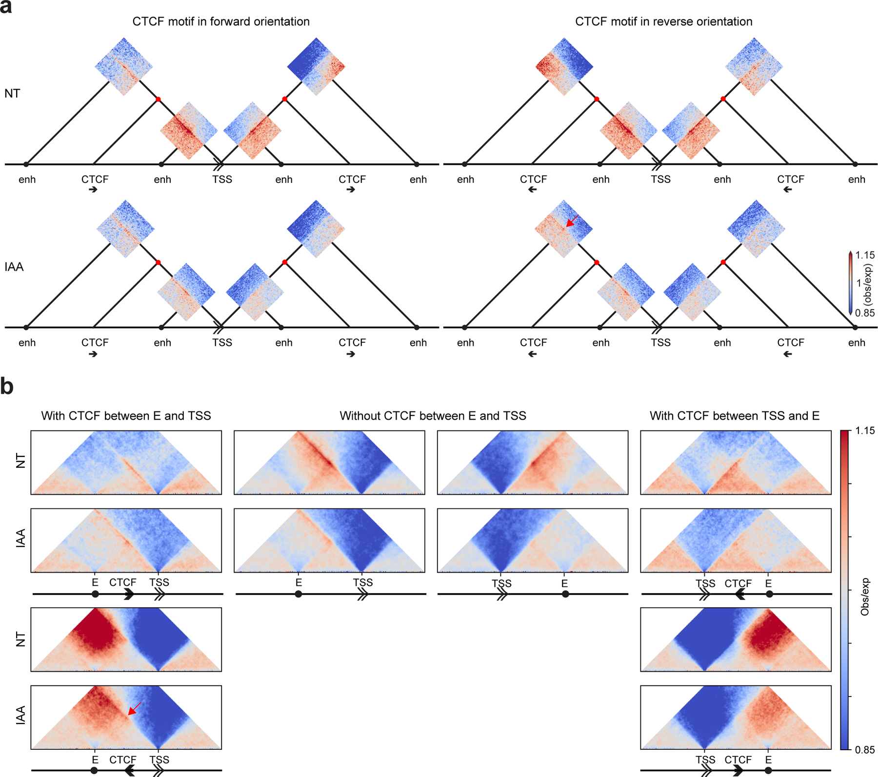 Figure 3: