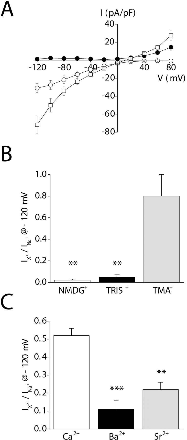 Figure 10. 