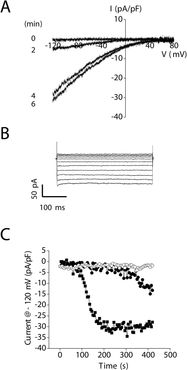 Figure 9. 