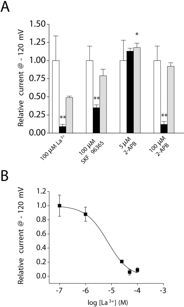 Figure 11. 