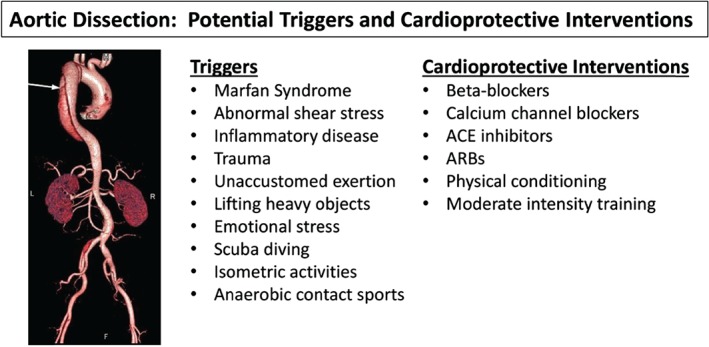 CLC-22481-FIG-0001-c