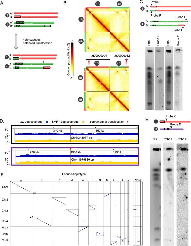 Figure 1—figure supplement 5.