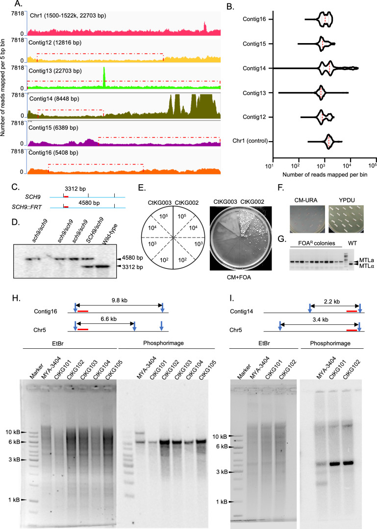 Figure 1—figure supplement 2.