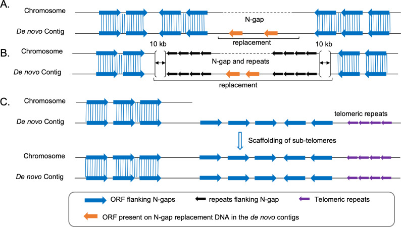 Figure 1—figure supplement 3.