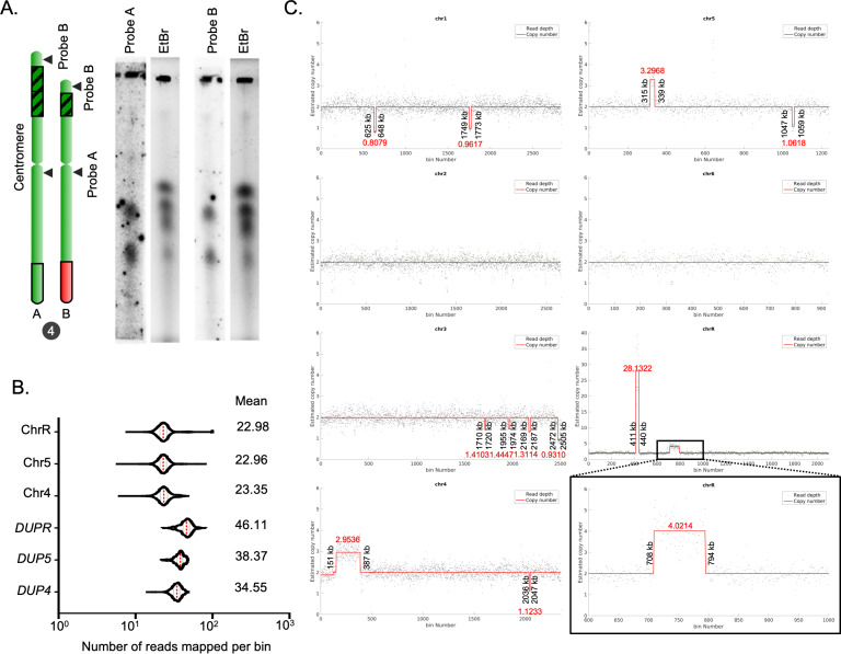 Figure 1—figure supplement 4.