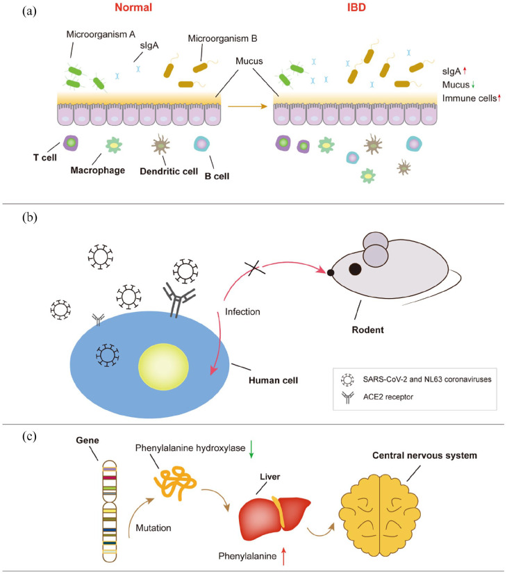 Figure 3.