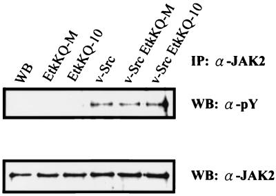 FIG. 5