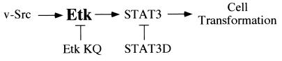 FIG. 10