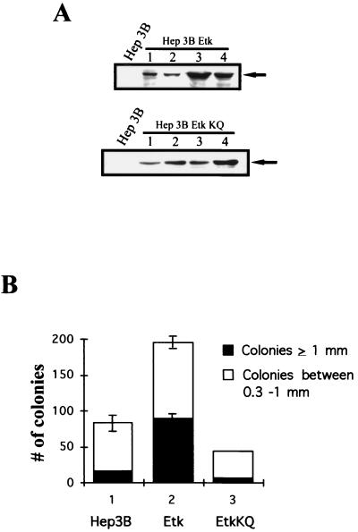 FIG. 8