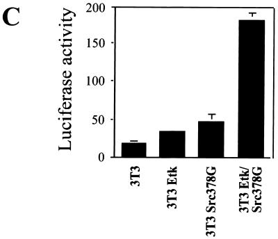 FIG. 7