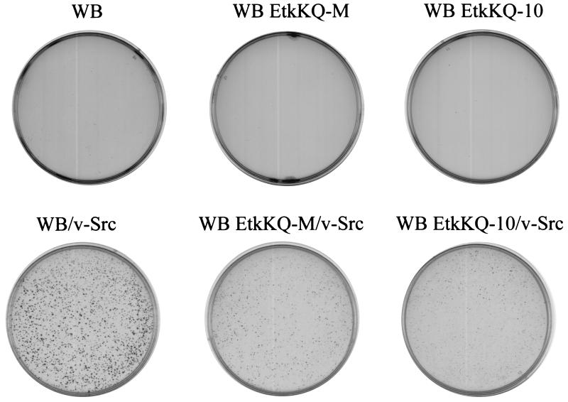 FIG. 6