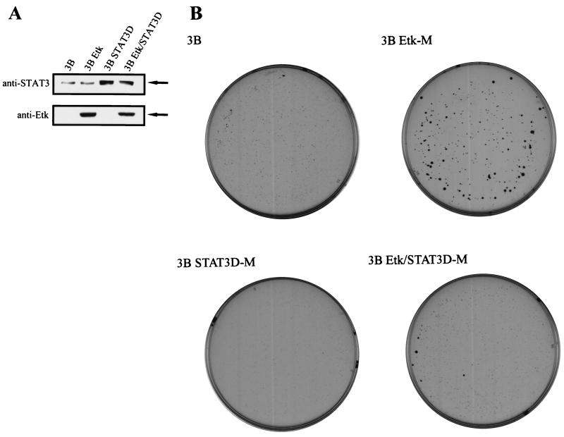 FIG. 9