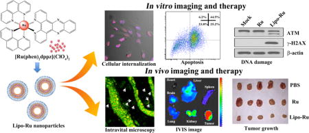 graphic file with name nihms869641u1.jpg