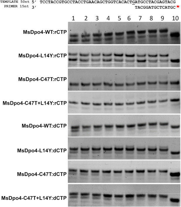 Figure 5.