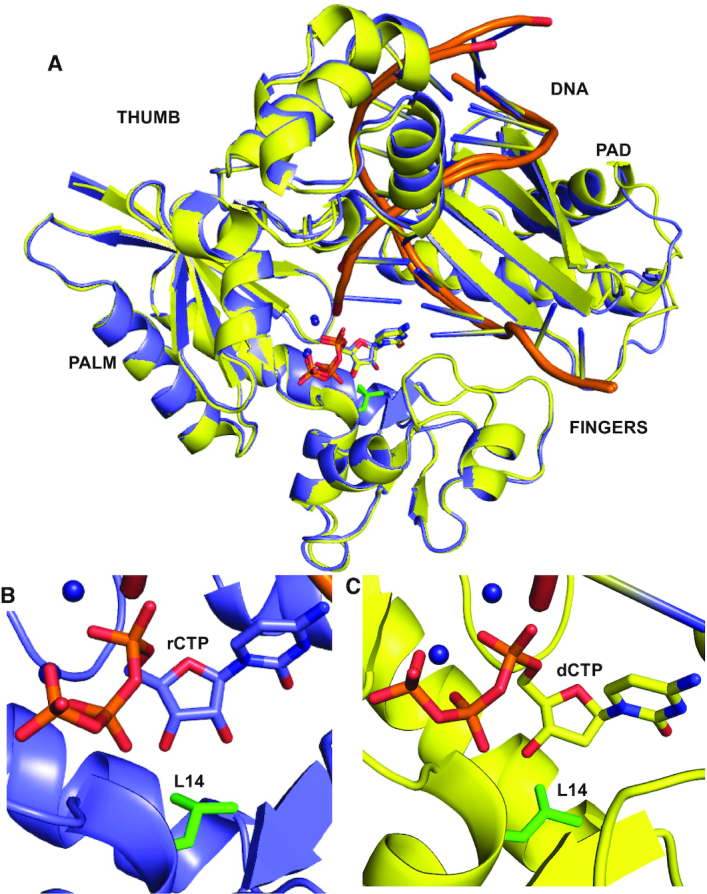 Figure 2.